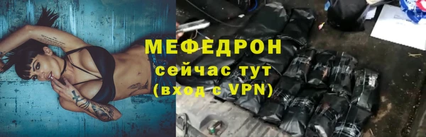 индика Вяземский