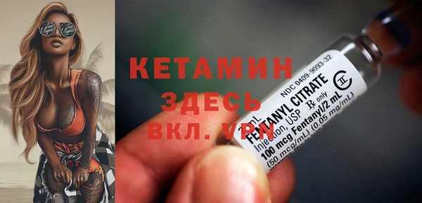 крисы Вязьма