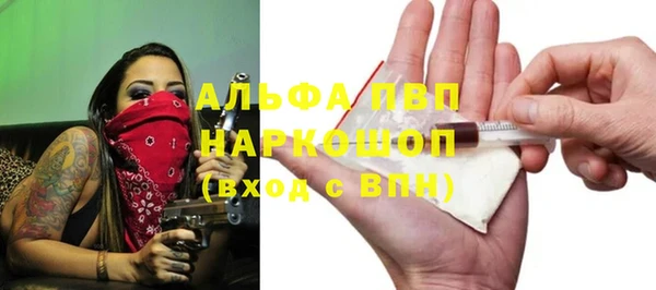 крисы Вязьма