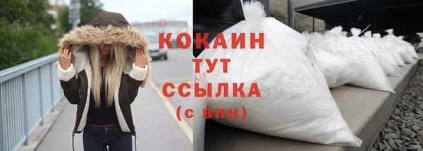 крисы Вязьма