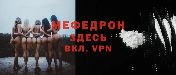 индика Вяземский