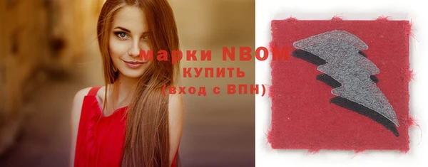 индика Вяземский