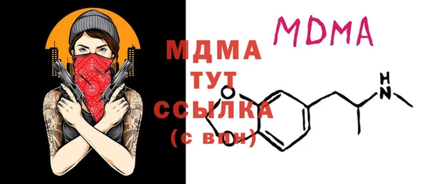 индика Вяземский