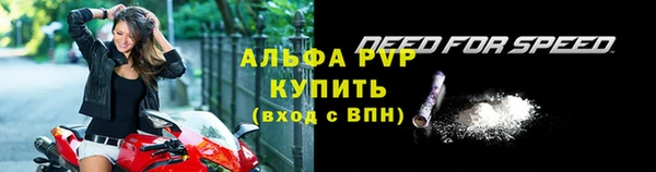индика Вяземский