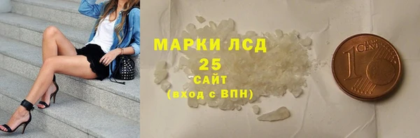 индика Вяземский