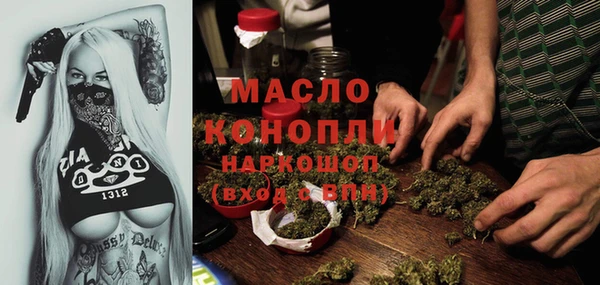 индика Вяземский