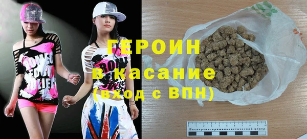 индика Вяземский