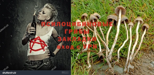 jwh Вязники
