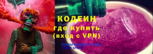 индика Вяземский