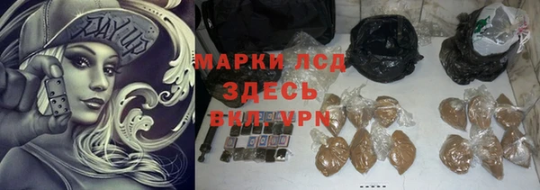 индика Вяземский