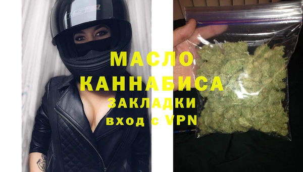 индика Вяземский