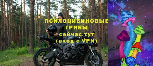 индика Вяземский