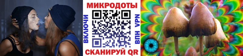 Псилоцибиновые грибы MAGIC MUSHROOMS  закладка  Наволоки 